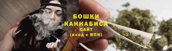 стаф Богородицк