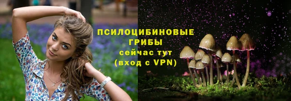 COCAINE Богданович