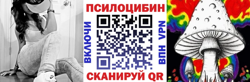 сколько стоит Краснокамск Псилоцибиновые грибы мицелий